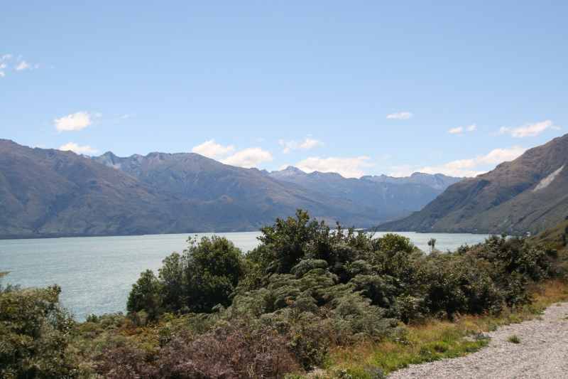 Nieuw-Zeeland 2011 - 1589